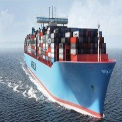 廣州南沙進口報關代理服務詳解 專業高效的貿易解決方案